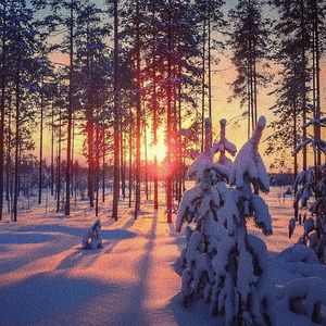 pornop日本XX精派
