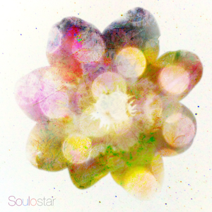 pornop日本XX精派
